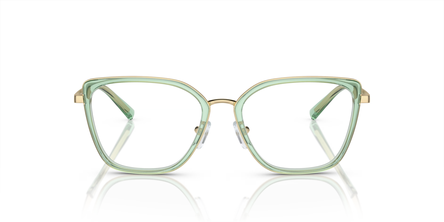 Glasögonbåge Emporio-Armani EA1152